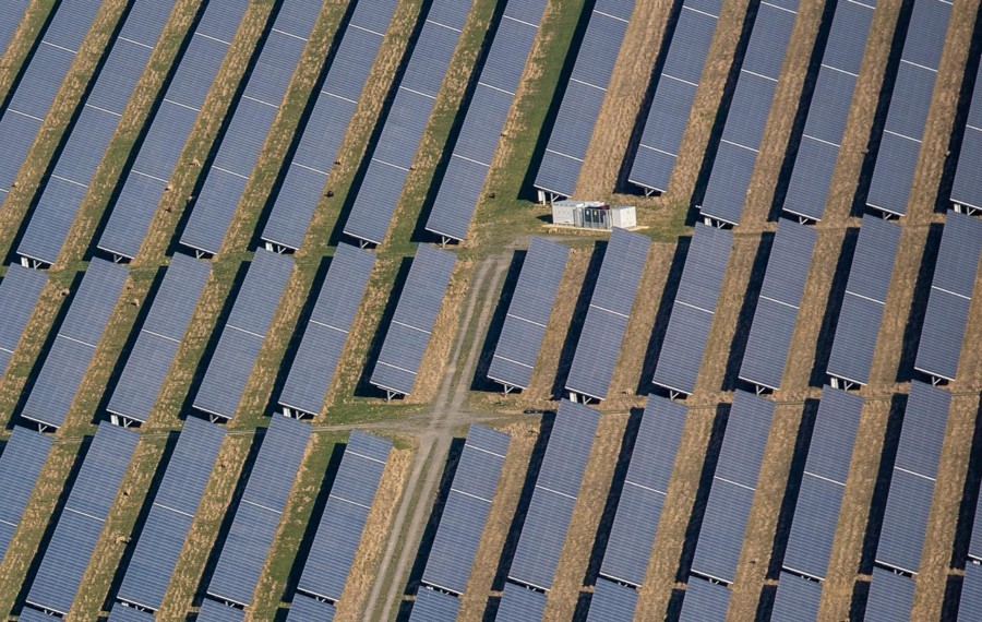 agrivoltaïsme bovin